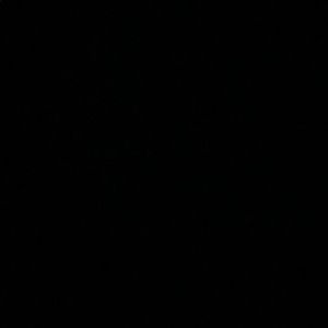 Meet your Posher, Jayla